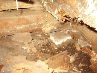 Idaho based, ASHI Certified Home Inspector Dean Kalmukos
