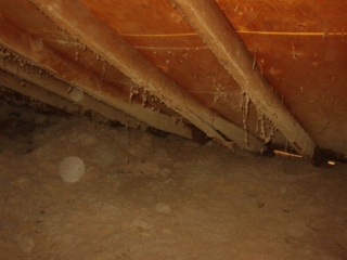 Idaho based, ASHI Certified Home Inspector Dean Kalmukos