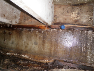 Washington and Idaho, ASHI certified Home Inspection Services