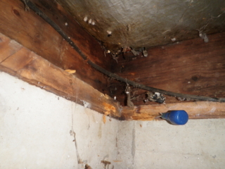 Washington and Idaho, ASHI certified Home Inspection Services